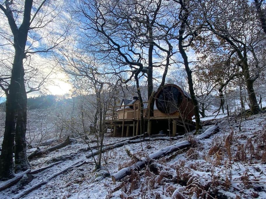 Chestnut Tree House With Hot Tub & Sauna Barmouth Exterior photo